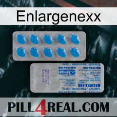 Enlargenexx new15